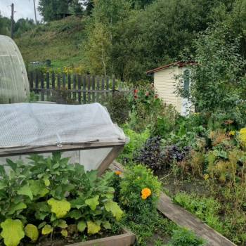 Продается Дом, 44 м²