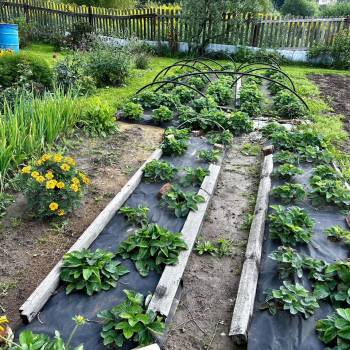 Продается Дом, 48 м²