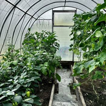 Продается Дом, 48 м²