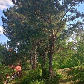 Продается Дом, 118 м²