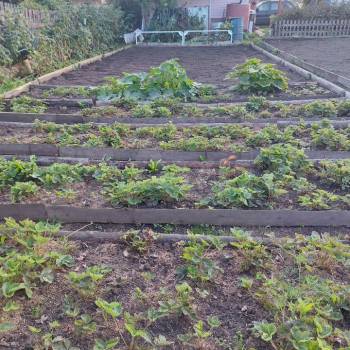 Продается Участок, 500 м²