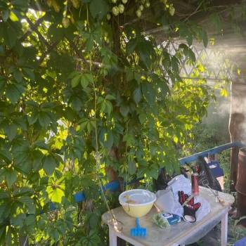 Продается Дом, 20 м²