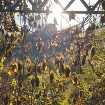 Продается Дом, 20 м²