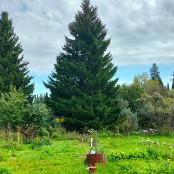 Продается Участок, 930 м²