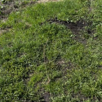 Продается Участок, 900 м²