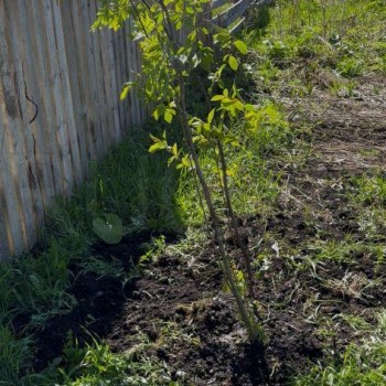 Продается Участок, 900 м²