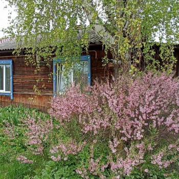 Продается Дом, 61 м²