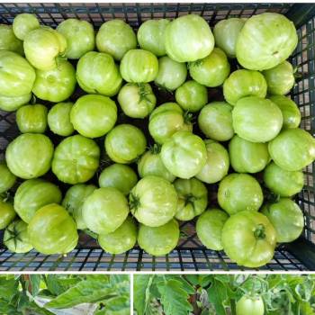 Продается Дом, 72 м²