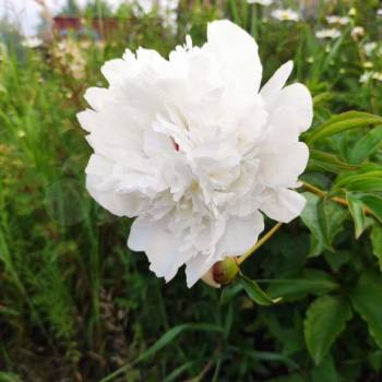 Продается Дом, 72 м²