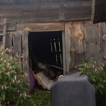 Продается Дом, 54 м²