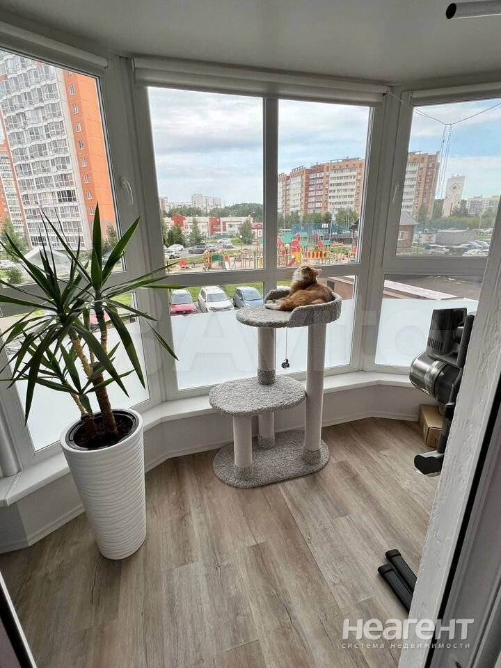 Фотография №3