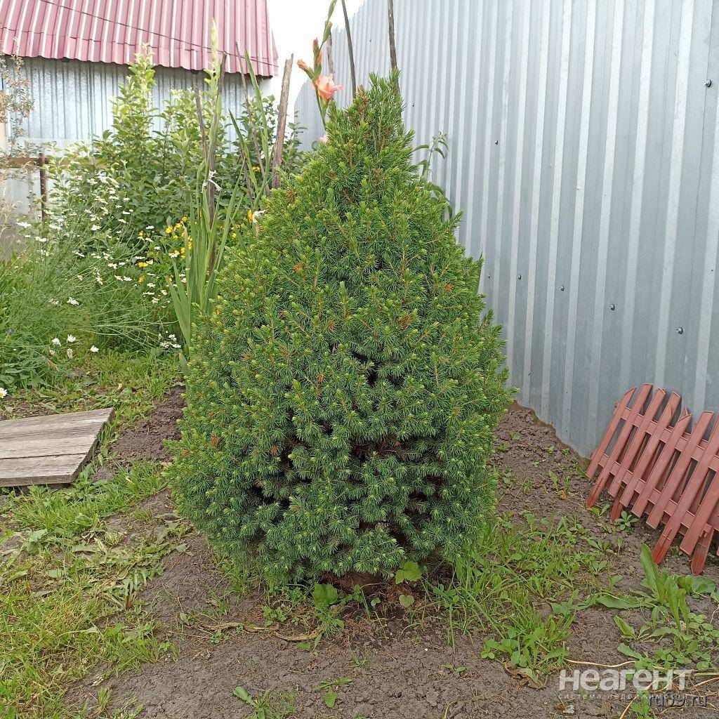 Продам 2-этажную деревянную дачу, СТ Озерное (пос. Малая Михайловка), владелец