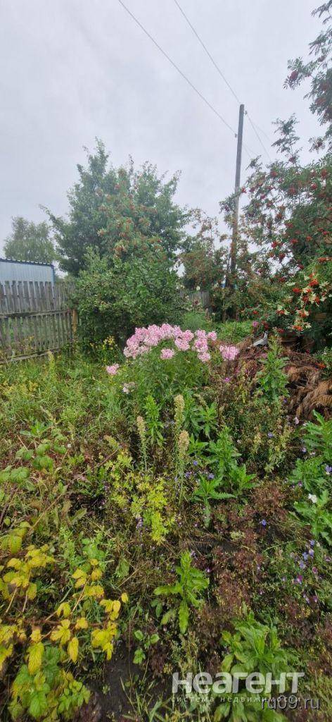 Фотография №2