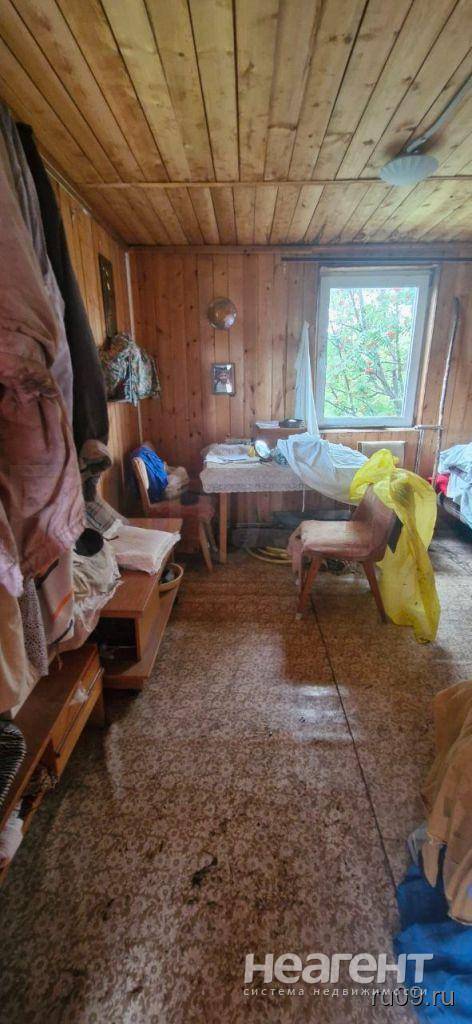 Фотография №3