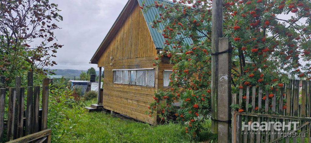 Фотография №4