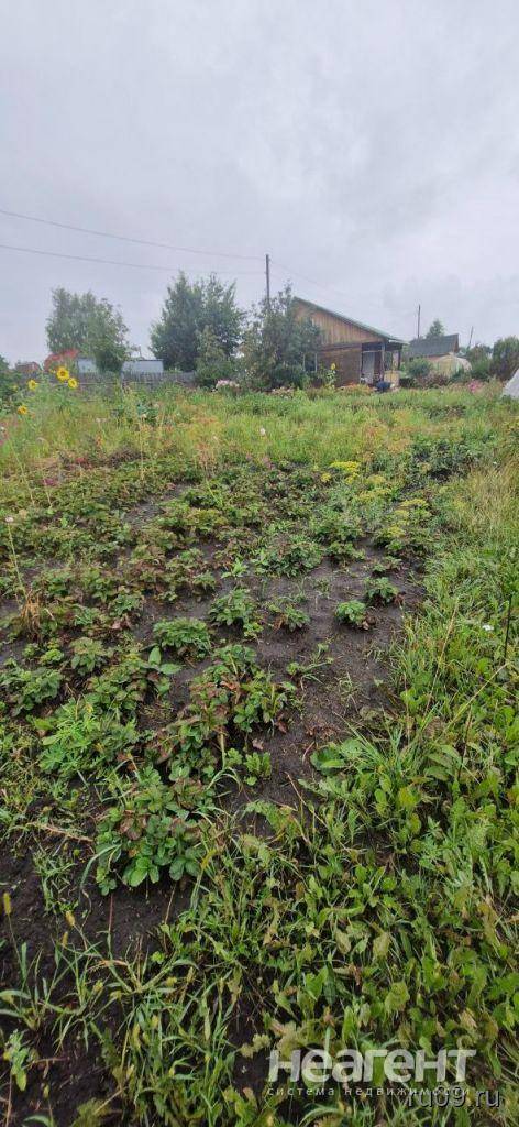 Фотография №5