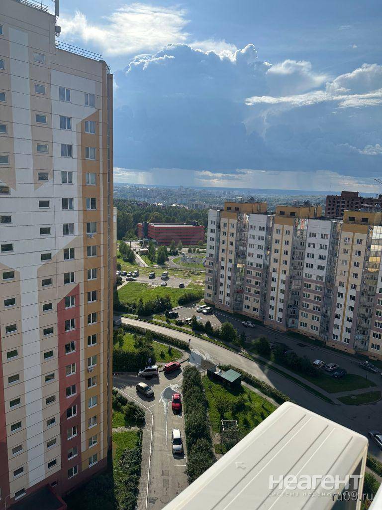 Фотография №5