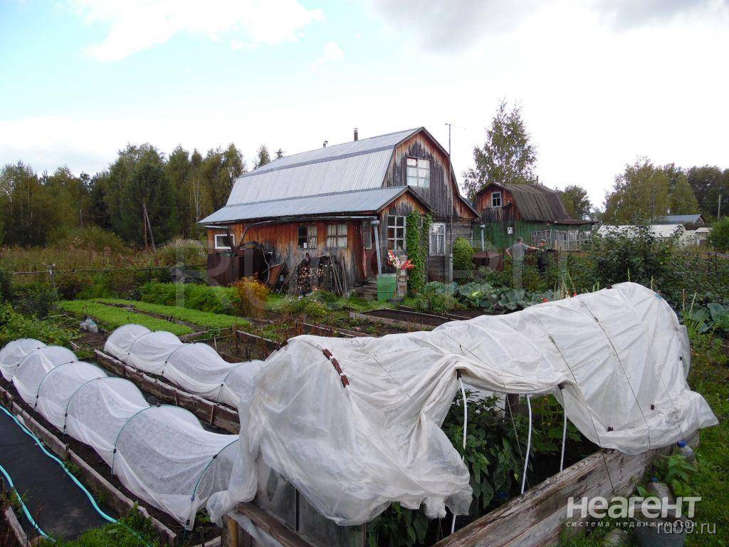 Фотография №2