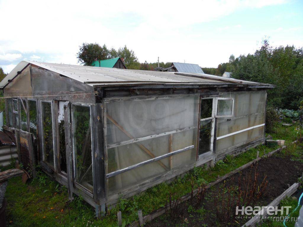 Фотография №4