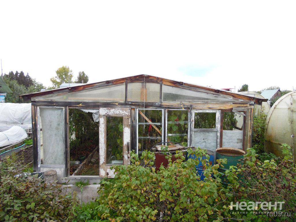 Фотография №5