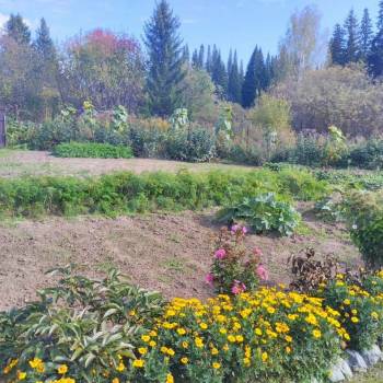 Продается Дом, 50 м²