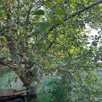 Продается Дом, 60 м²