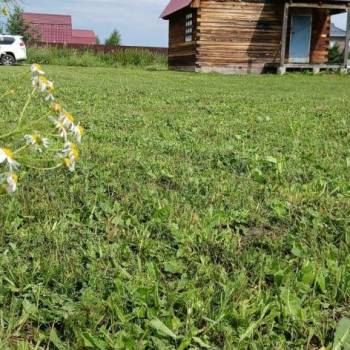 Продается Дом, 53 м²