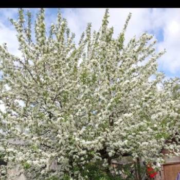 Продается Участок, 1400 м²