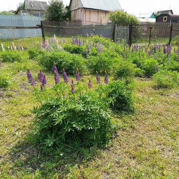 Продается Участок, 1400 м²