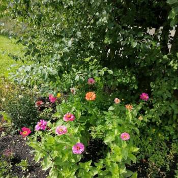 Продается Участок, 1400 м²