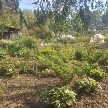 Продается Дом, 25 м²