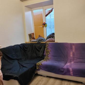 Сдается 2-х комнатная квартира, 54 м²