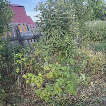 Продается Участок, 1200 м²