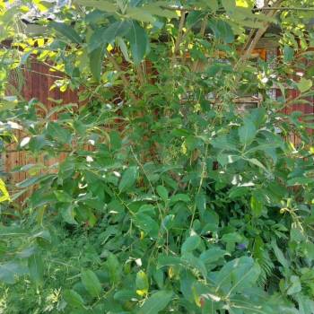 Продается Участок, 1200 м²