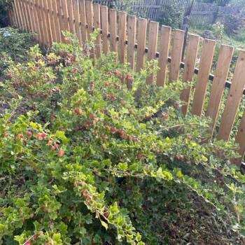 Продается Дом, 40 м²