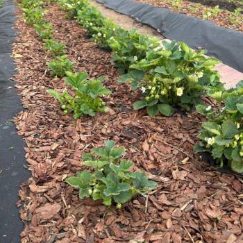 Продается Дом, 40 м²