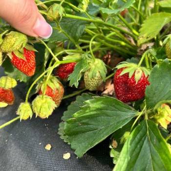 Продается Дом, 40 м²