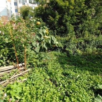 Продается Дом, 59 м²