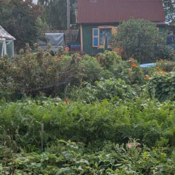 Продается Дом, 25 м²