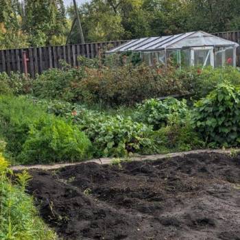 Продается Дом, 25 м²