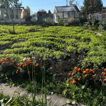 Продается Дом, 15 м²