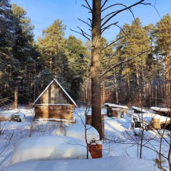 Продается Дом, 50 м²