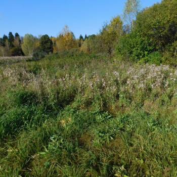 Продается Участок, 2500 м²