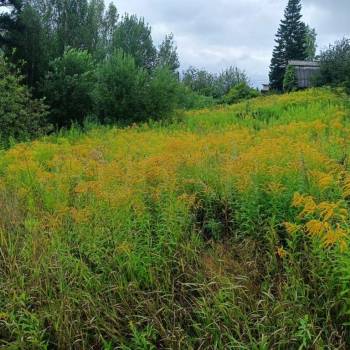 Продается Участок, 400 м²