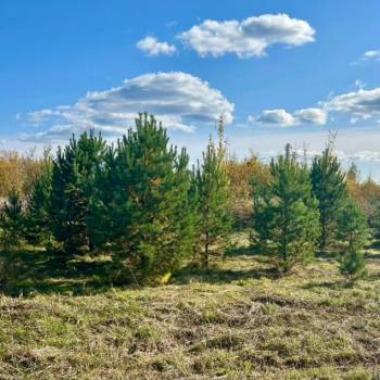 Продается Участок, 1000 м²