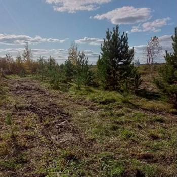 Продается Участок, 1000 м²