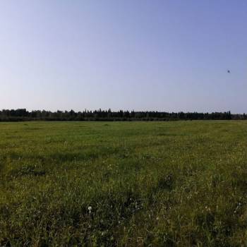 Продается Участок, 1000 м²