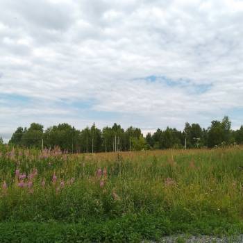 Продается Участок, 1500 м²