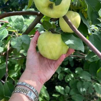 Продается Дом, 30 м²