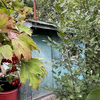 Продается Дом, 15 м²